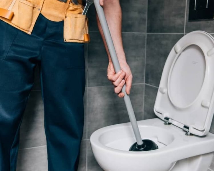 Toilet-service.jpg